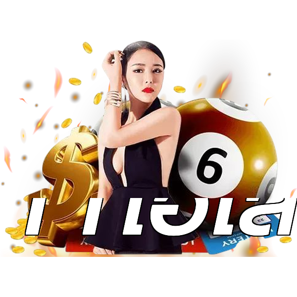 11ไฮโล